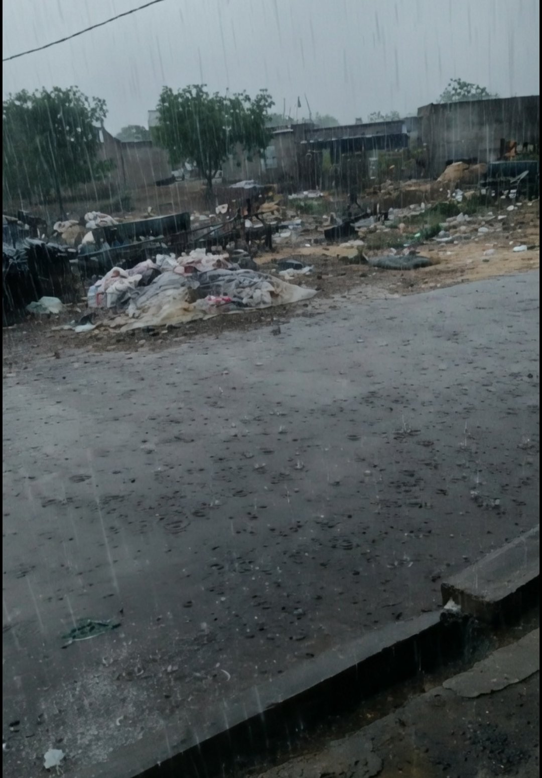 दिनभर तपा सूरज, शाम को बरसी आफत,बारिश और ओलों से गेहूं-लहसुन की फसल संकट में।