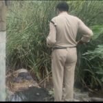 महू रोड पर नाले में मिला अज्ञात व्यक्ति का शव, शिनाख्त में जुटी पुलिस