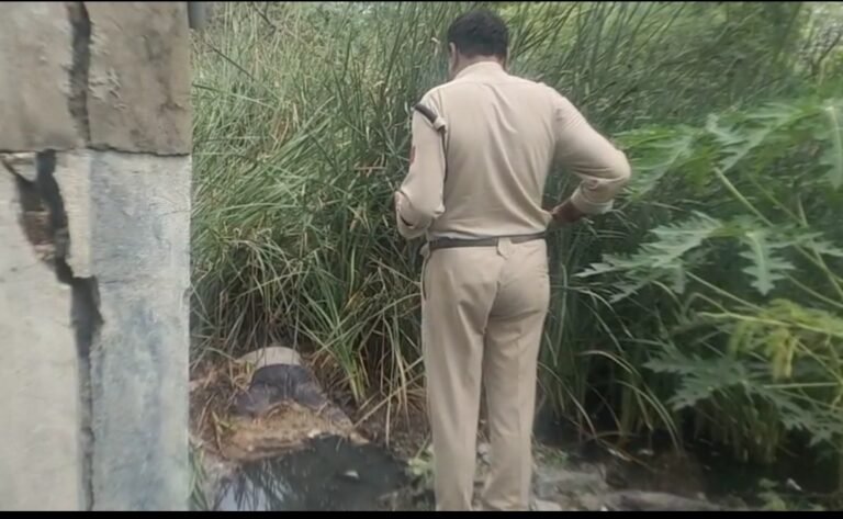 महू रोड पर नाले में मिला अज्ञात व्यक्ति का शव, शिनाख्त में जुटी पुलिस