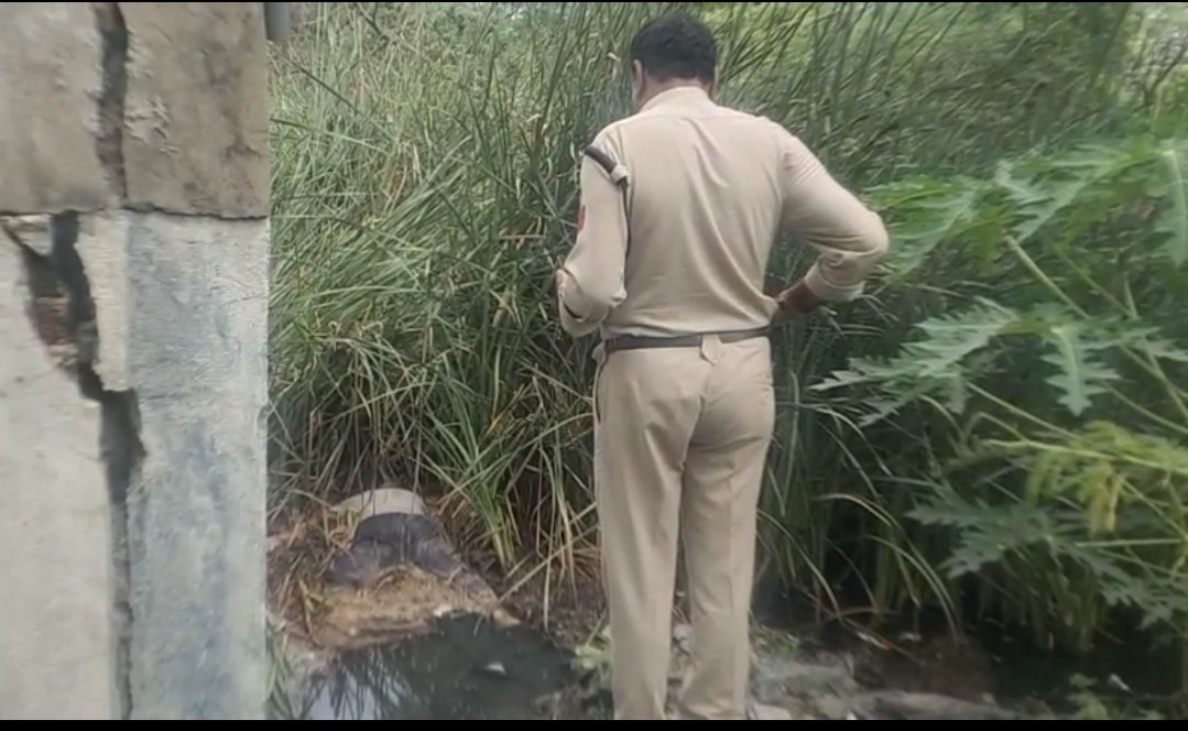 महू रोड पर नाले में मिला अज्ञात व्यक्ति का शव, शिनाख्त में जुटी पुलिस