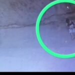लापरवाही से कार चलाते हुए चालक ने किया 6 वर्षीय बच्ची को घायल ,सीसीटीवी में कैद हुआ पूरा घटनाक्रम