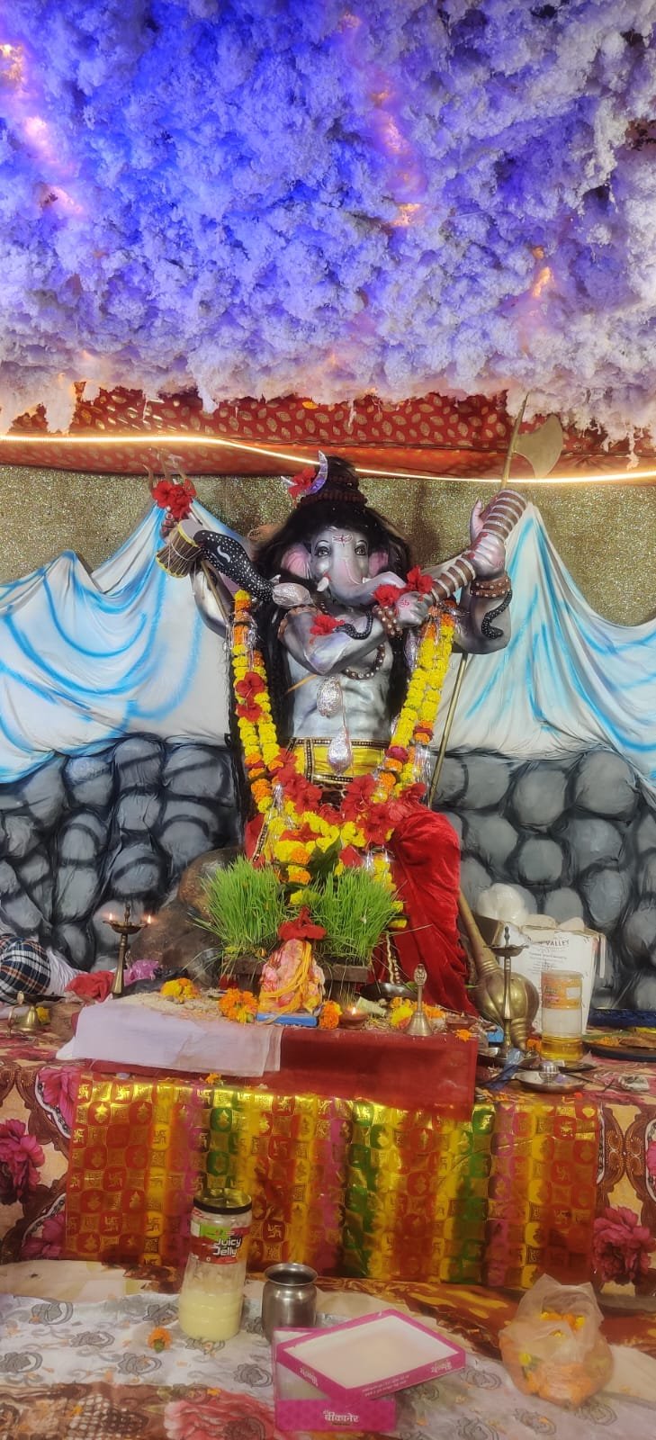 आलोट के राजा का महा भंडारा: उमड़ी भक्तों की भारी भीड़, हजारों श्रद्धालुओं ने लिया महाप्रसादी का लाभ