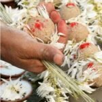 श्राद्धपक्ष का शुभारंभ: पितरों के स्मरण और श्रद्धा-तर्पण के साथ 16 दिवसीय अनुष्ठान कल से शुरू
