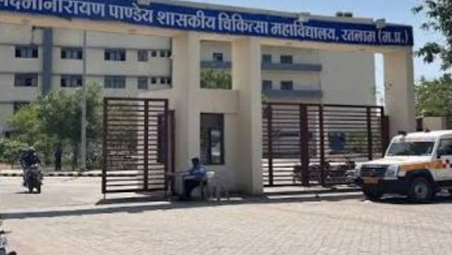 दर्दनाक हादसा: पलसोड़ी में आवारा कुत्ते के हमले से 3 वर्षीय मासूम बच्ची की मौत