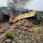 दिल्ली-मुंबई एक्सप्रेस-वे पर भीषण हादसा: अनियंत्रित होकर पुलिया के नीचे गिरा आलू से भरा ट्रक, आग से जलकर खाक